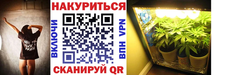 Бошки Шишки индика  Купить  Новосокольники 