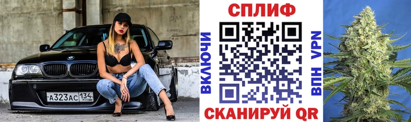 Марихуана сатива Новосокольники